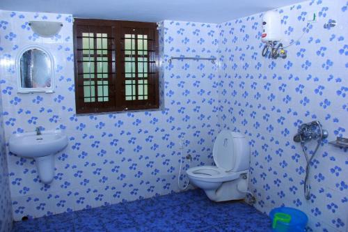 Аллеппи: Lake Castle Alleppey villa