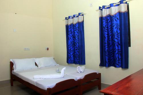 Аллеппи: Lake Castle Alleppey villa