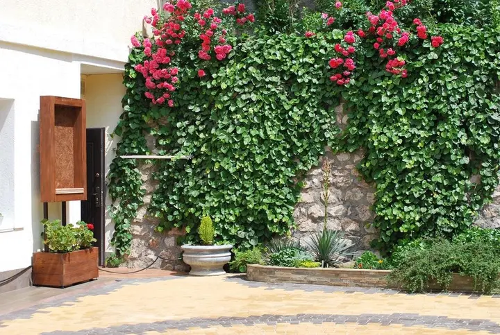 Ялта: Гостевой дом Floral Courtyard