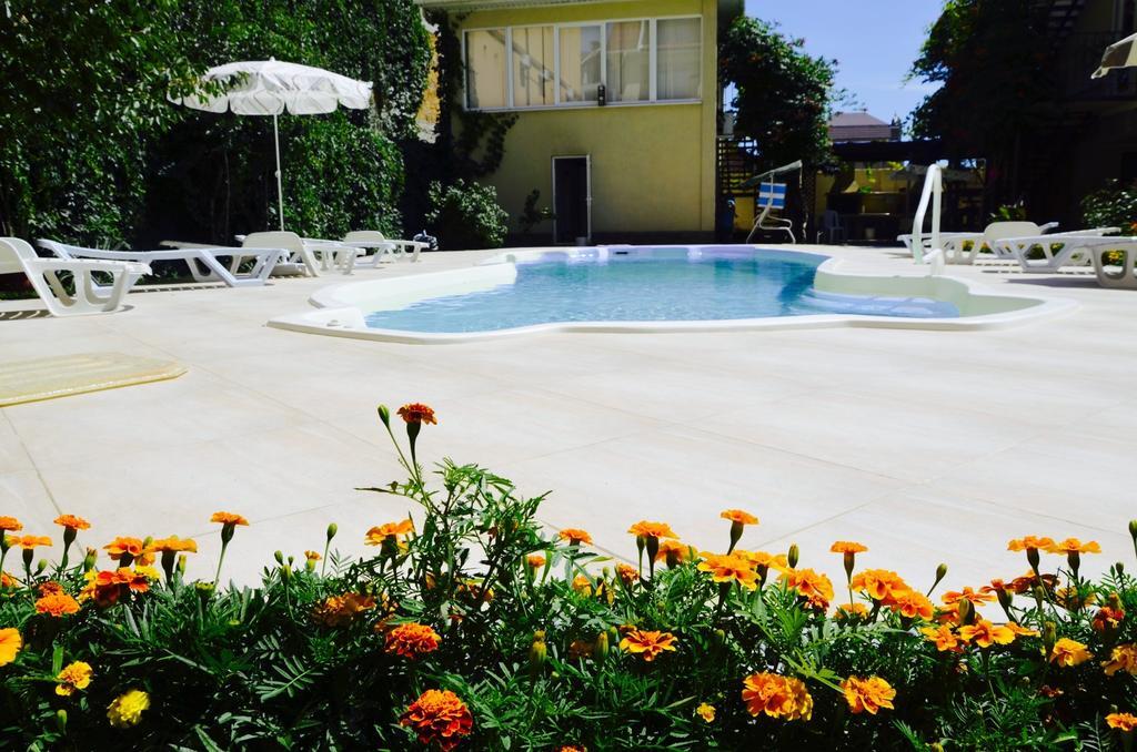 Судак: Alyana Guest House