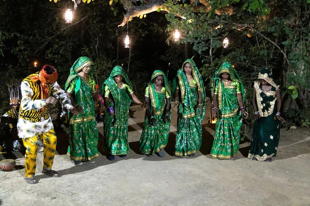 Панпата: The Untamed Bandhavgarh by TUTC
