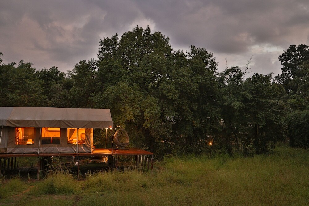 Панпата: The Untamed Bandhavgarh by TUTC