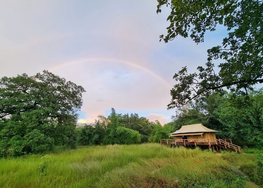 Панпата: The Untamed Bandhavgarh by TUTC