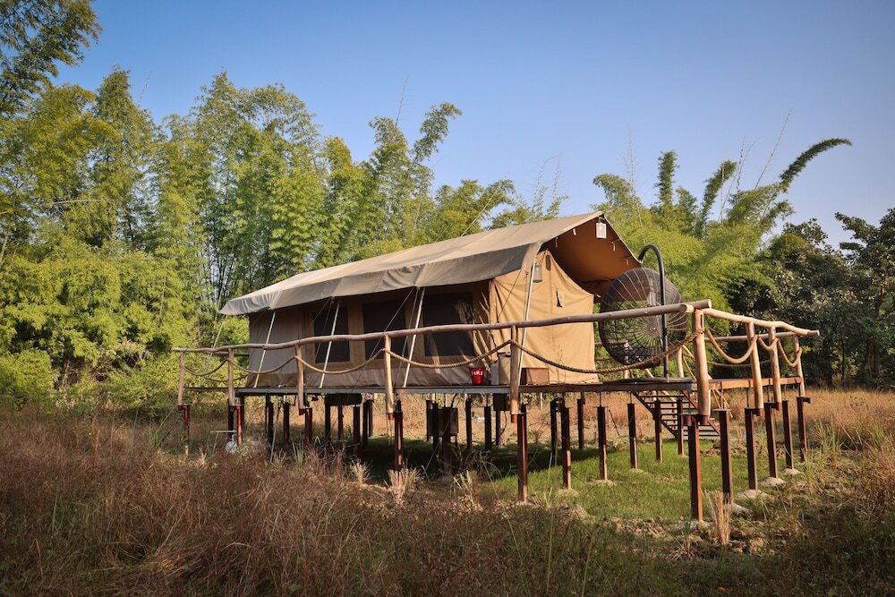Панпата: The Untamed Bandhavgarh by TUTC