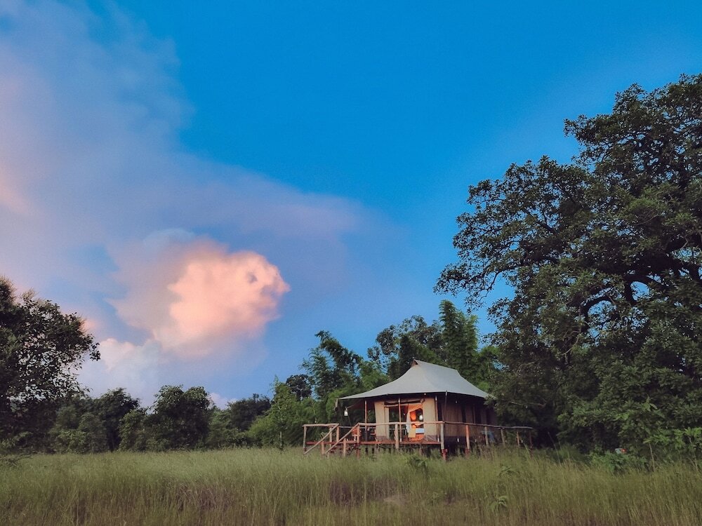 Панпата: The Untamed Bandhavgarh by TUTC