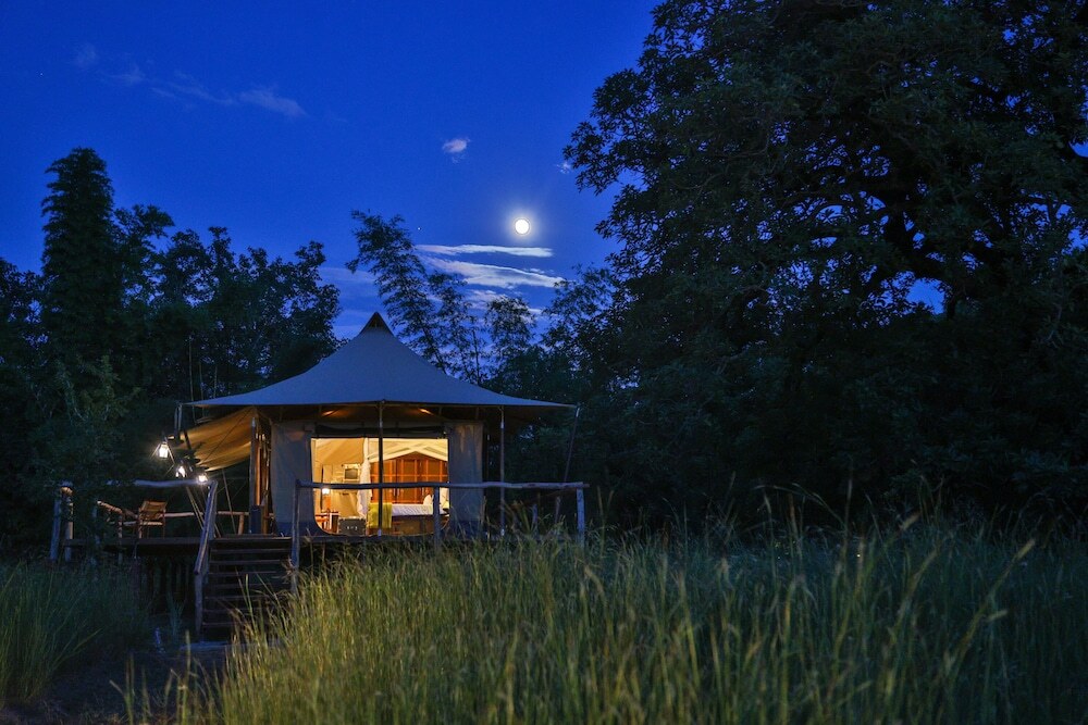 Панпата: The Untamed Bandhavgarh by TUTC