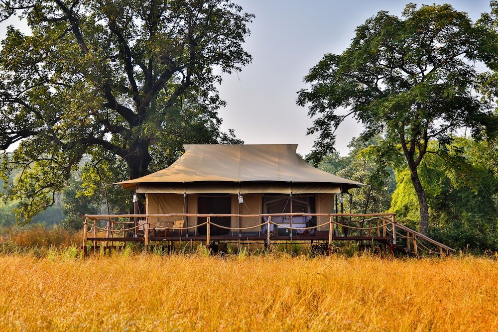 Панпата: The Untamed Bandhavgarh by TUTC
