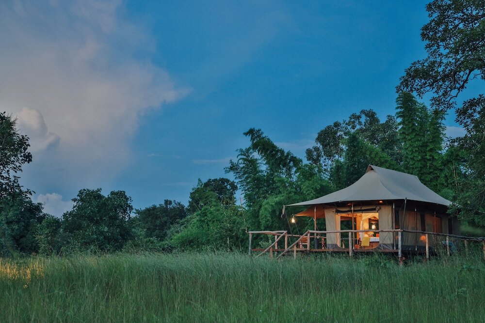 Панпата: The Untamed Bandhavgarh by TUTC
