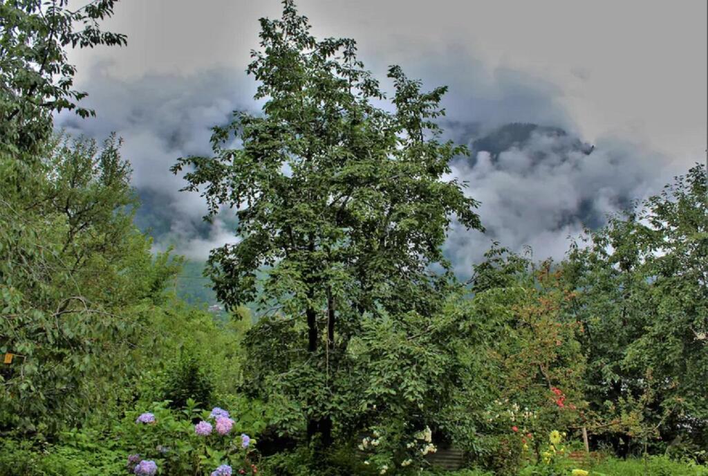 Манали: Goroomgo Chandra Cottage Manali