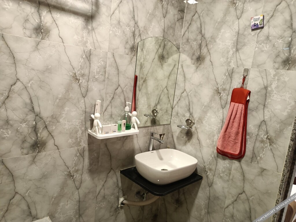 Ахмедабад: Hotel Avadh Palace