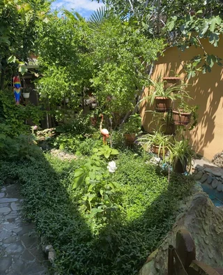 Судак: Гостевой Дом Вишневских