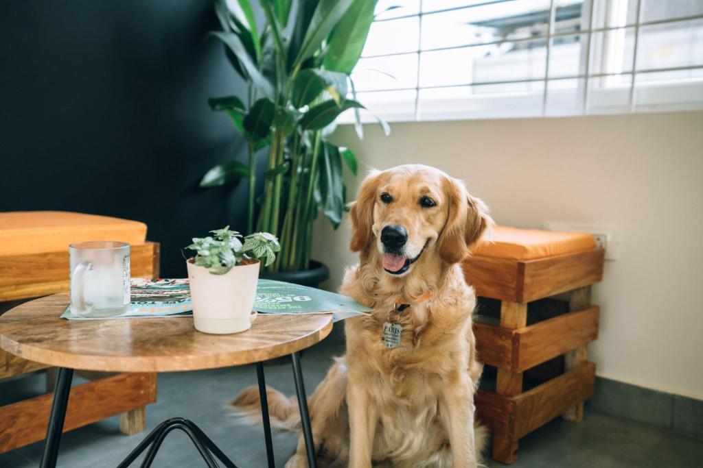 Бангалор: Draper Startup House ,Koramangala
