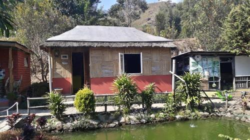 Багдогра: Vamoose Sunakhari