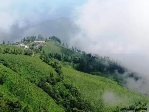 Курсеонг: Vamoosetrail Mahal Diram
