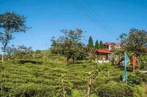 Курсеонг: Vamoosetrail Mahal Diram