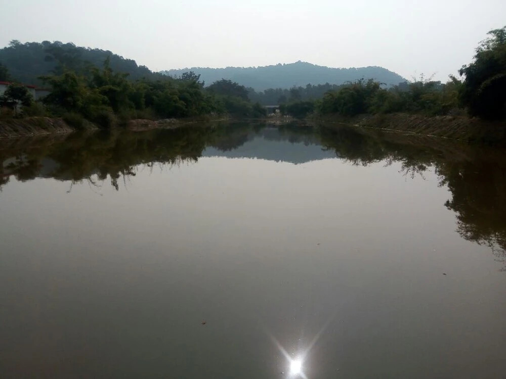 Панпата: Tiger Valley Resort Bandhavgarh