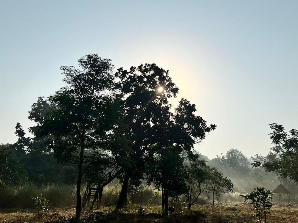 Панпата: Tiger Valley Resort Bandhavgarh