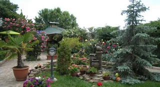 Судак: Guest House Krym