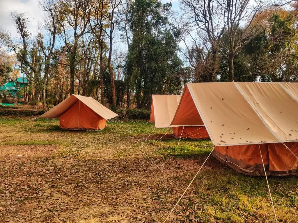 Бир: Monkey Mud Hostel And Camps