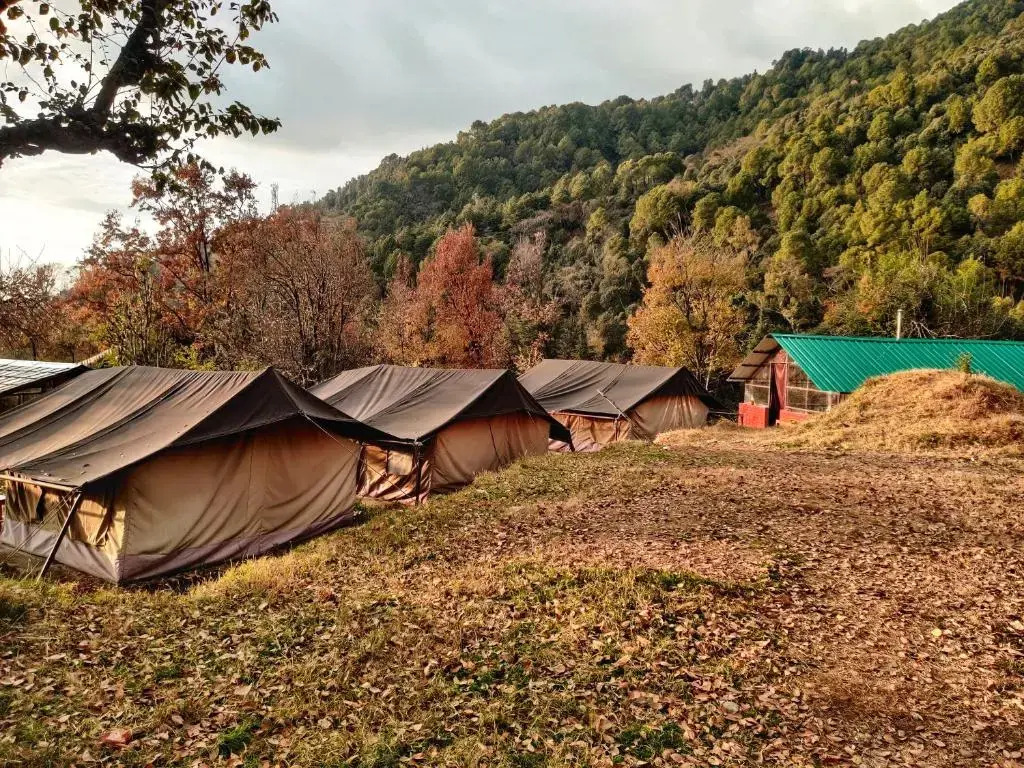 Бир: Monkey Mud Hostel And Camps