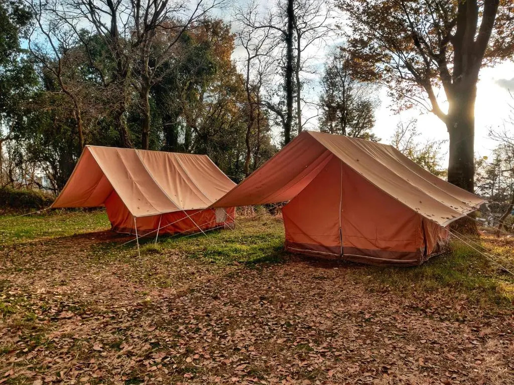 Бир: Monkey Mud Hostel And Camps