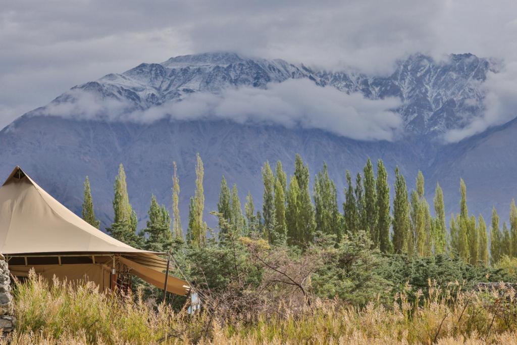 Хундер: Chamba Camp Diskit by TUTC