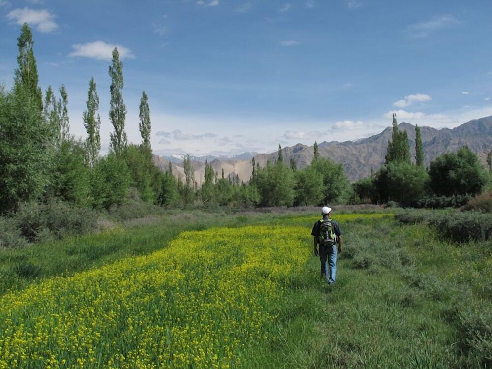 Лех: Chamba Camp Thiksey by TUTC
