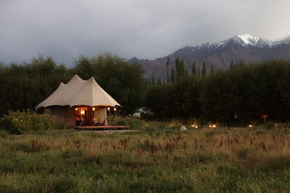 Лех: Chamba Camp Thiksey by TUTC