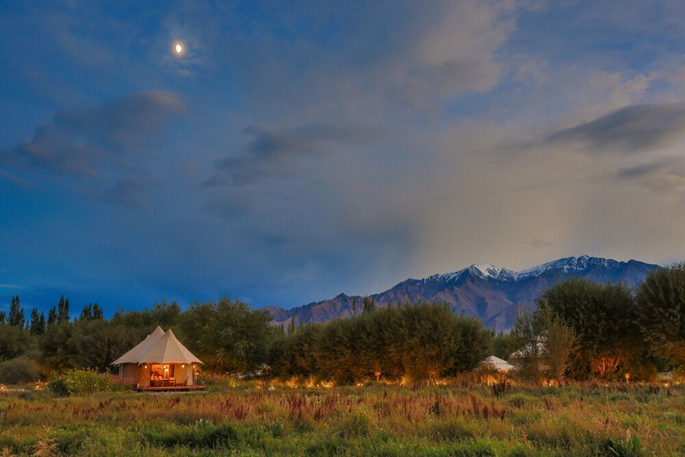 Лех: Chamba Camp Thiksey by TUTC