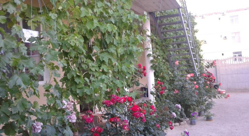 Судак: Guest House u Timura
