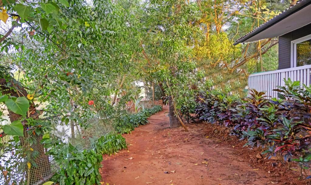 Арпора: Treebo Trend Resorte Ferro