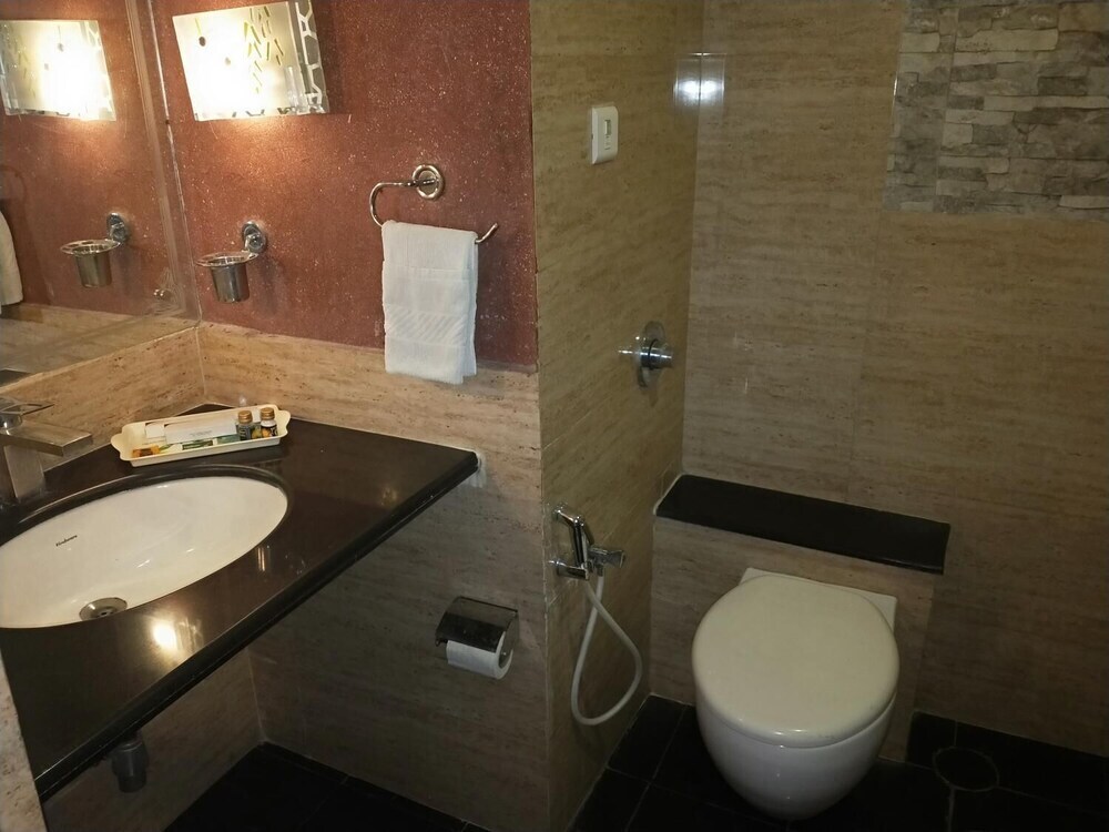 Райпур: Hotel Venkatesh International