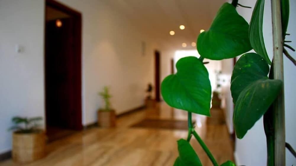 Кохора: Bon Villa Retreat