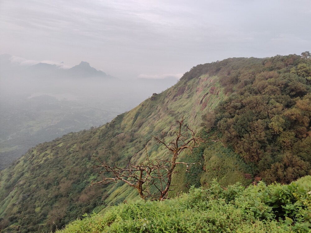 Нерал: Janavi Resort -Matheran