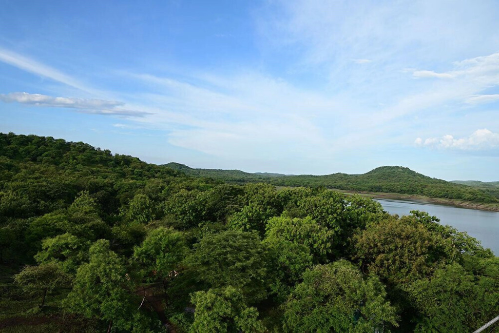 Сандхбеда: Aramness Gir National Park