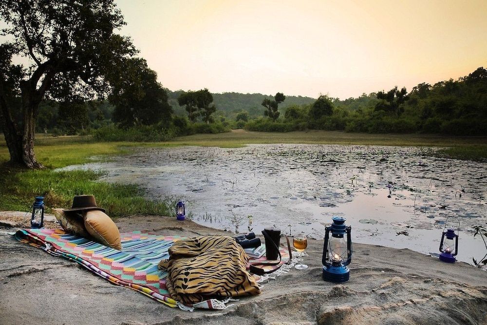 Панпата: Renest Bandhavgarh Meadows