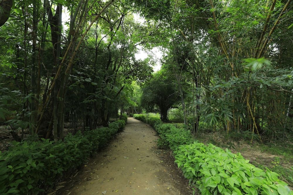 Панпата: Renest Bandhavgarh Meadows