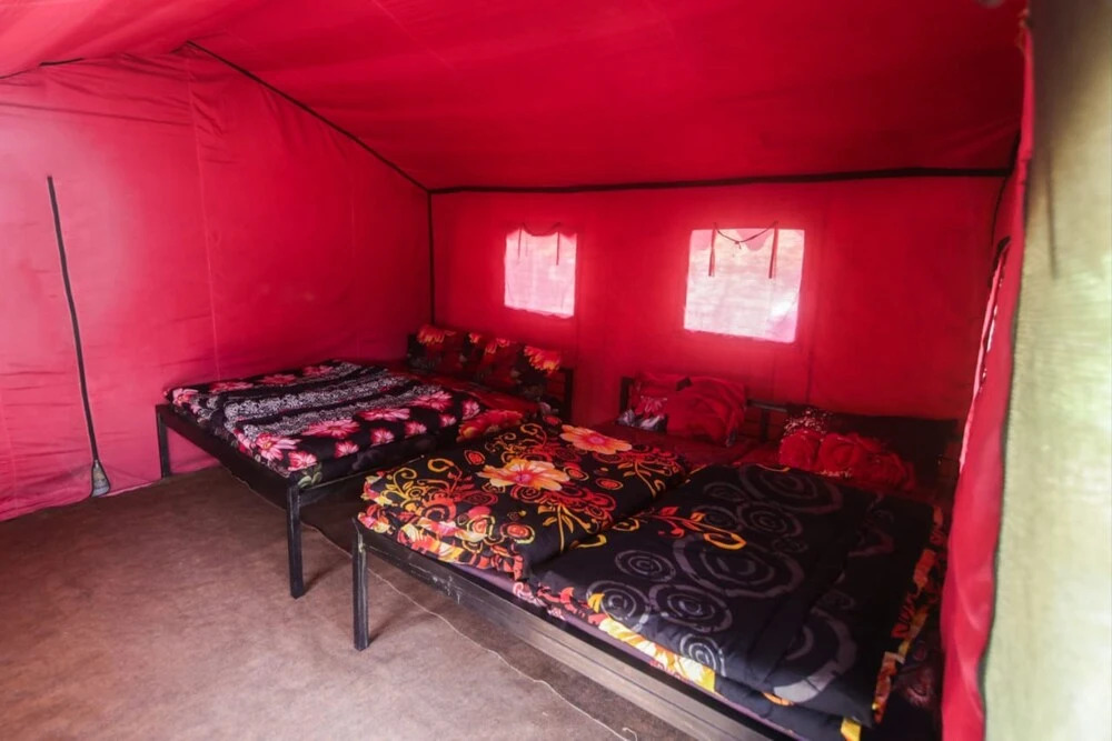 Шивпури: Camp Awara Rishikesh