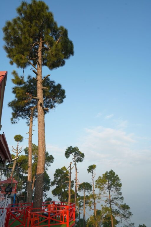 Раникхет: Kasar Serenity Almora