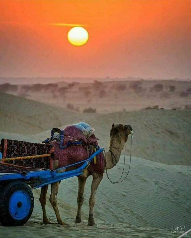 Государственный заповедник Desert National Park: Shivas Heritage and Sand Dunes