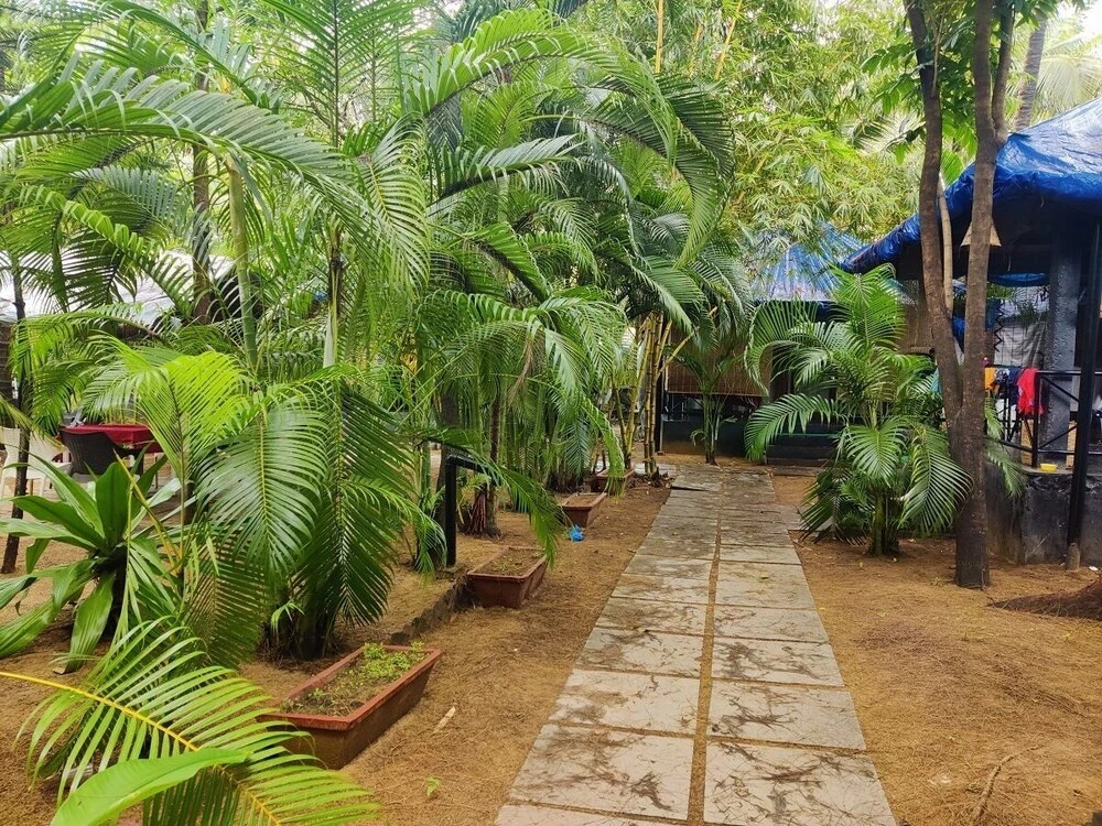 Южный Гоа: Patnem Palm Garden Goa