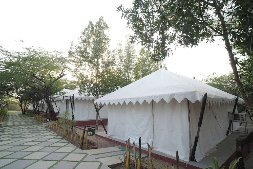 Мандви: Palace Beach Camp