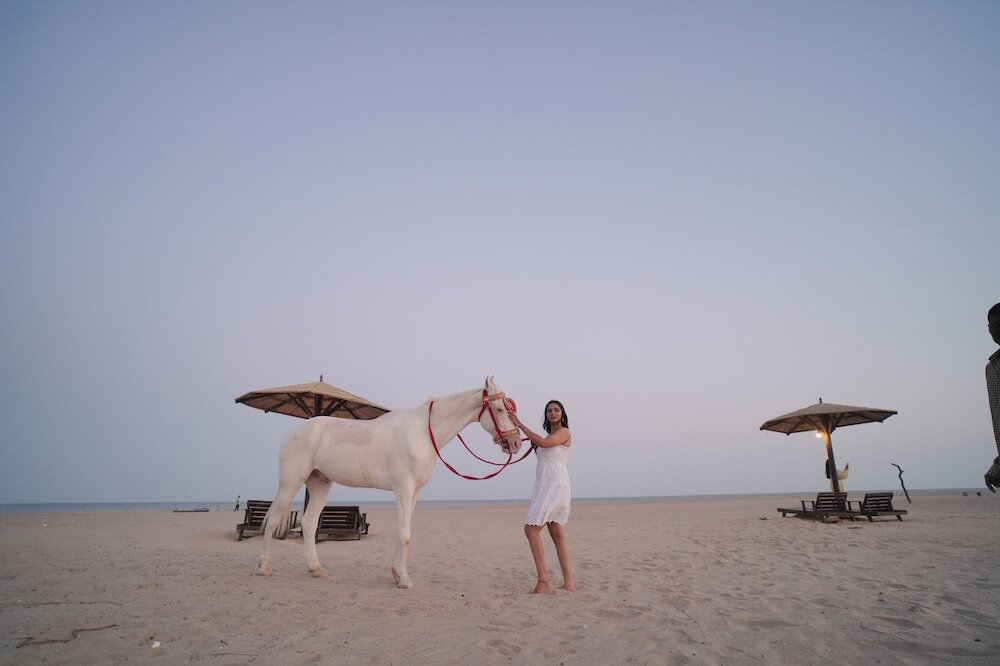 Мандви: Palace Beach Camp
