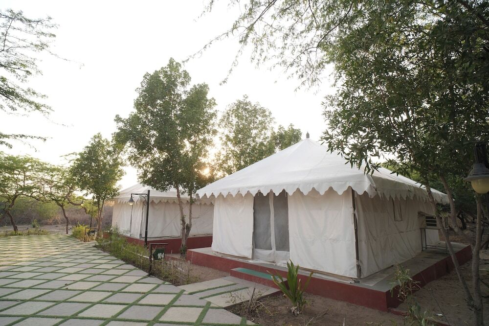 Мандви: Palace Beach Camp