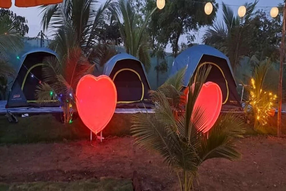 Киим: Starlight Resort