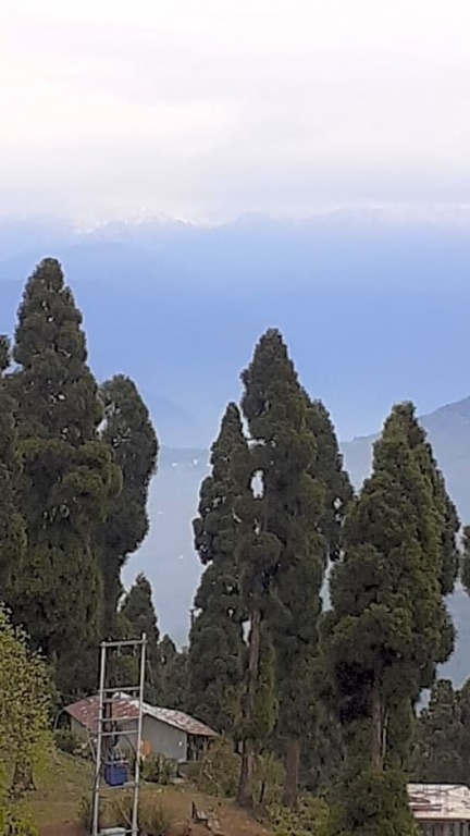 Калимпонг: Goroomgo Lava View Lava Kalimpong