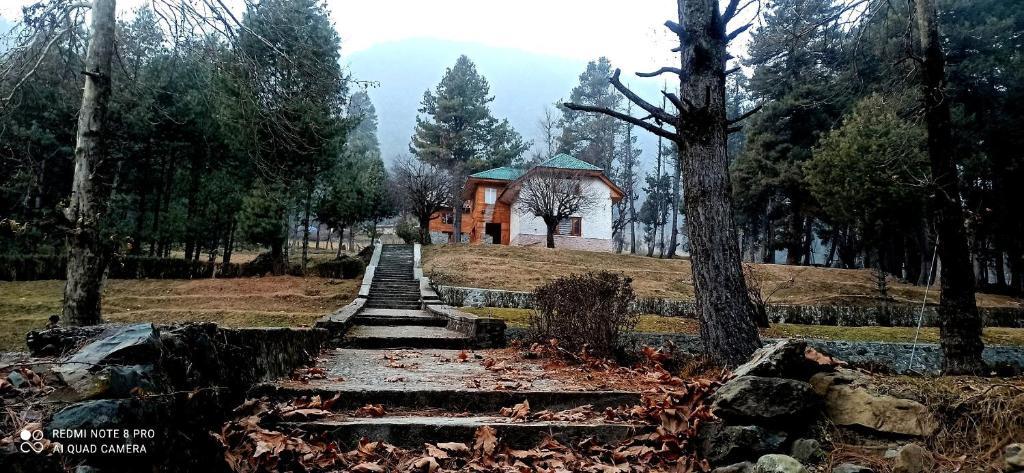 Пахалгам: Pahalgam Woods