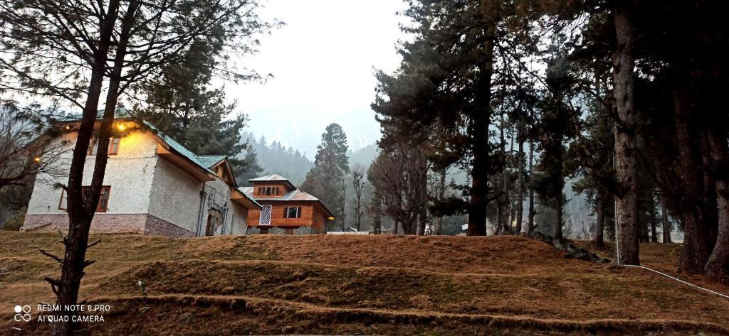 Пахалгам: Pahalgam Woods