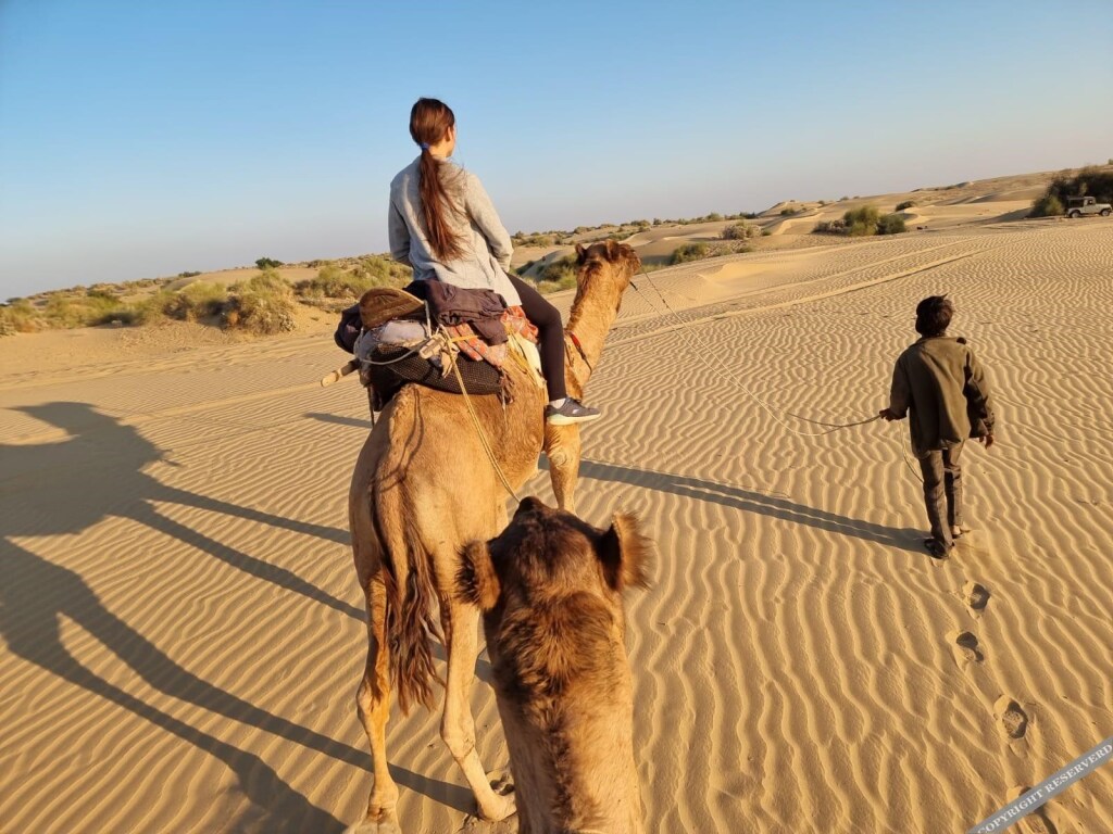 Джайсалмер: Hotel Kings Villa Jaisalmer