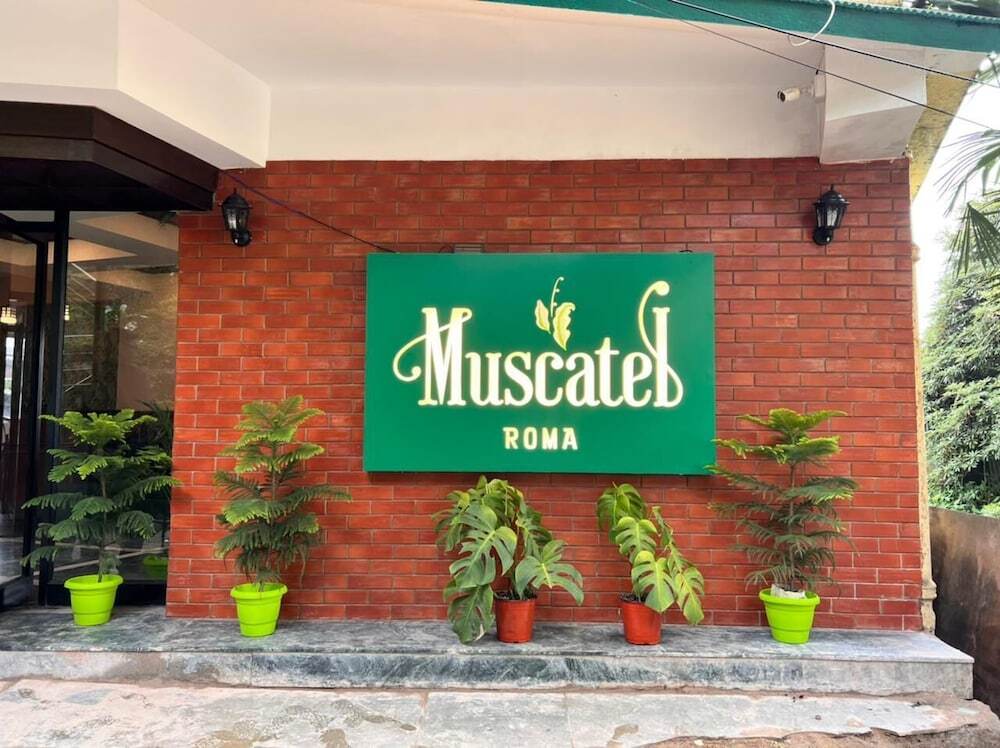 Дарджилинг: Muscatel Roma